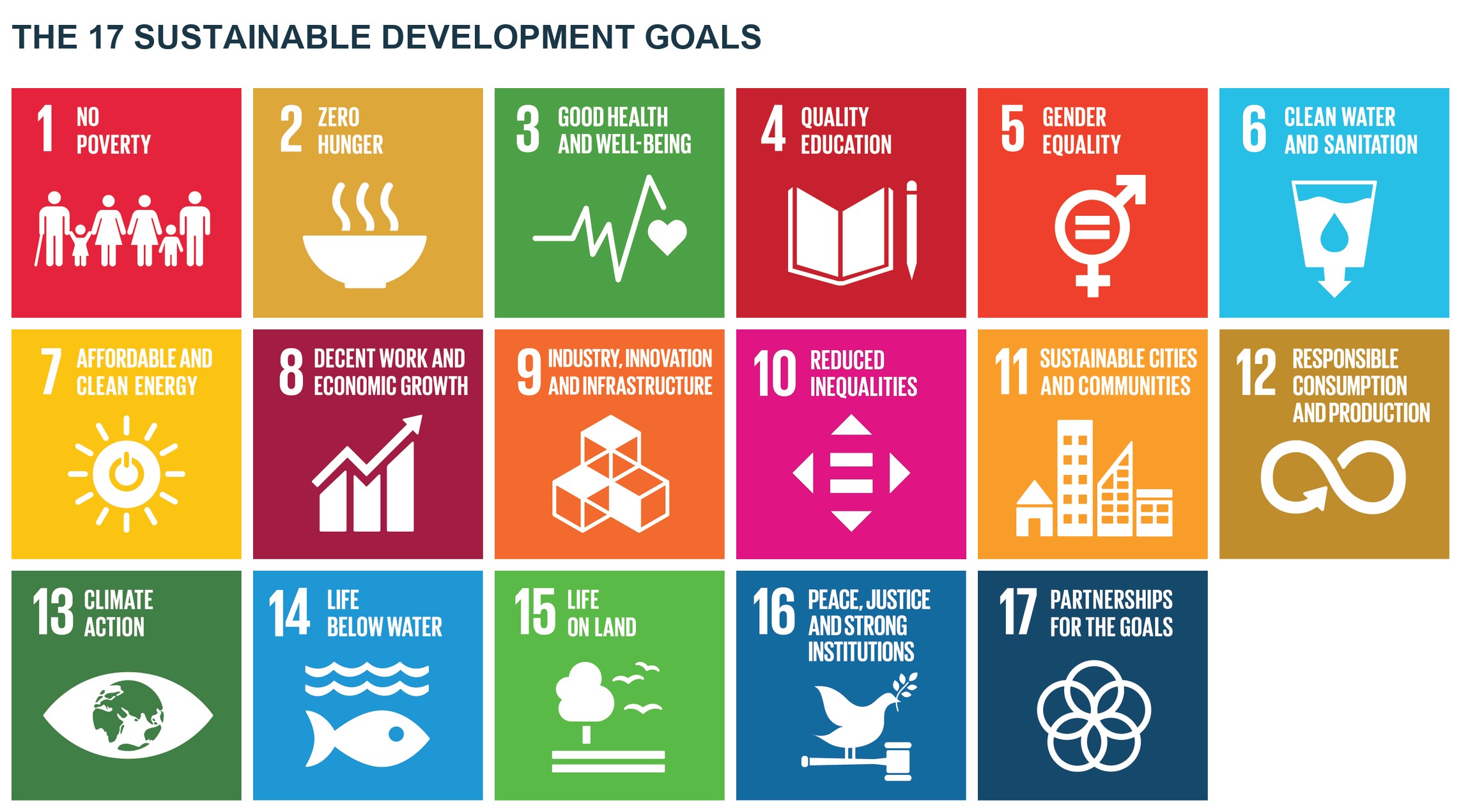 All 17 Sustainable Development Goals in English